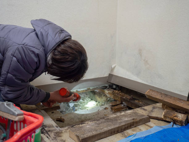 Best Forensic Mold Investigation  in Summerville, SC