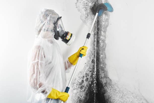 Best Indoor Air Quality Assessment  in Summerville, SC