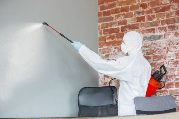 Best Mold Remediation for Vacation Homes  in Summerville, SC