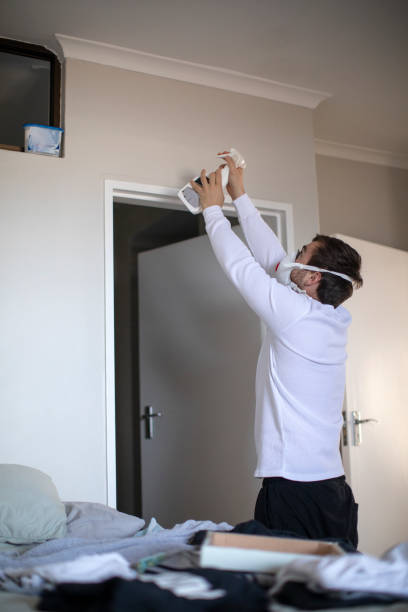 Best Emergency Mold Remediation  in Summerville, SC