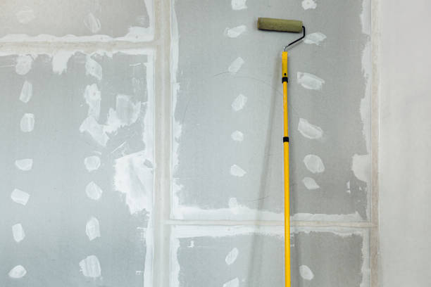 Best Asbestos and Lead Testing During Mold Inspection  in Summerville, SC