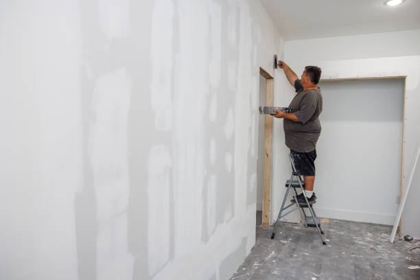 Best Emergency Mold Remediation  in Summerville, SC
