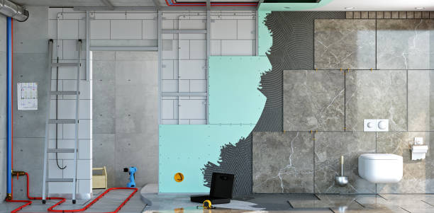 Trusted Summerville, SC Mold Removal Experts