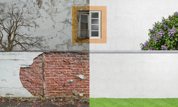 Best Mold Odor Removal Services  in Summerville, SC